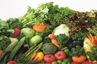 Thực đơn vàng cho sĩ tử vượt vũ môn